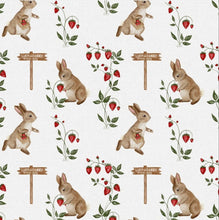 Load image into Gallery viewer, Strawberry Picking Bummie Romper