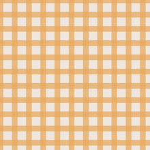 Load image into Gallery viewer, Kids Wear