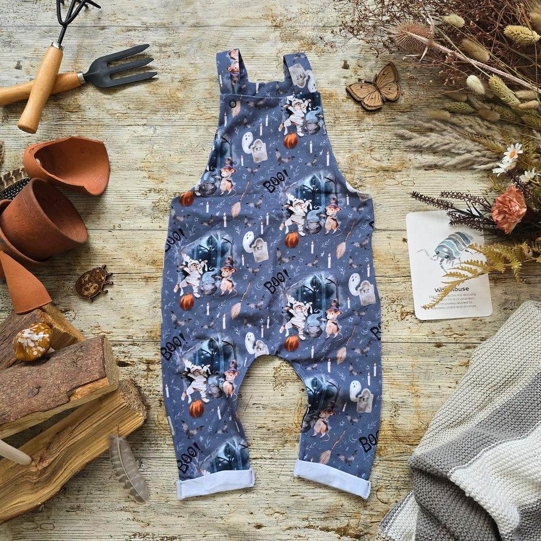 Haunted Forest Dungarees RTP