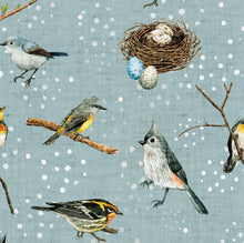 Load image into Gallery viewer, Nesting Birds Dribble Bib