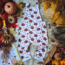 Load image into Gallery viewer, Pumpkin Patch Dungarees