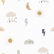 Load image into Gallery viewer, Cute Weather Bummies